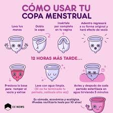 copa menstrual anner